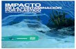 Introducción - Greenpeace...Introducción Foto: OORG 4 La contaminación por plásticos en México y el mundo La producción mundial de plásticos supera los 380 millones de toneladas
