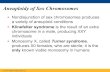 Aneuploidy of Sex Chromosomes - JU Medicine...(Sex chromosomes and autosomes) Balanced rearrangements Robertsonian 1/1000 Other (reciprocal and others) 1/885 Unbalanced rearrangements
