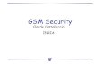 GSM Securityccastel/COURS/gsm.pdfnetwork (management network). U m A bis A BSS BSS MS MS BTS BSC BTS BTS BSC BTS NSS MSC MSC fixed partner networks ISDN PSTN EIR HLR VLR ISDN PSTN