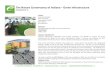 The Nature Conservancy of Indiana – Green Infrastructure...The Nature Conservancy of Indiana – Green Infrastructure INDIANAPOLIS, IN CLIENT: Rundell Ernstberger 618 E. Market St.