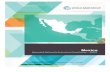 Mexico - World Bankspappssecext.worldbank.org/sites/indc/PDF_Library/MX.pdf · 2016. 10. 13. · INDC Intended Nationally Determined Contributions REDD+ Reducing emissions from deforestation