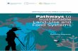 2019 Report of the FABLE Consortium Pathways to ......˜˚˛˝˙˚ˆˇ˘˛ ˘ ˇ˛˚ ˚ ˘ ˚ ˇ ˘˚ ˘ ˘ ˆ˛ ˇ ˘˘ ˘ • †˛˘˘˘“ 9 strengthen country teams’ capacity
