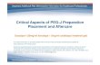 Critical Aspects of PEG-J Preparation Placement and Aftercare · 2020. 12. 19. · Critical Aspects of PEG-J Preparation Placement and Aftercare Duodopa® (20mg/ml levodopa + 5mg/ml