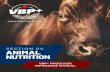 SECTION 04 ANIMAL NUTRITION · to provide salt, mineral, and vitamins in diet. Written feeding protocols, feed testing . results, nutritionist reports/recommendations; feedstuffs
