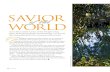 SAVIOR of the WORLD...2015/03/14  · SAVIOR As we draw nearer to Jesus Christ through seeing where He lived during His mortal ministry, our love for Him and gratitude for His Atonement