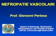 NEFROPATIE VASCOLARI - Infermieristicainfermieristica.polodidatticopanico.com/wp-content/... · 2018. 6. 13. · ü Anomalie urinarie ... ü Tomografia computerizzata •Leucocitosi