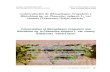 Coinoculación de Rhizophagus irregularis y Rhizobium sp en ...Hidalgo et al.: Coinoculación de Rhizophagus irregularis y Rhizobium en Phaseolus vulgaris (Fabaceae) “frijol canario”26