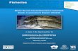 Black Bream (Acanthopagrus butcheri - pir.sa.gov.au · a weight-of-evidence assessment of stock status for Black Bream in the Coorong estuary. Most catches of Black Bream in South