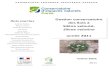 Gestion conservatoire Ilots marins des îlots à Silène velouté, · 2012. 6. 28. · Gestion des îlots à Silène velouté – bilan 2011 CEN-Corse / AAPNRC – Décembre 2011