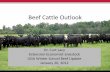 Beef Cattle Outlook · 2014. 5. 7. · Dr. Curt Lacy Extension Economist-Livestock UGA Winter School Beef Update January 20 ... OUTLOOK FOR 2012 AND BEYOND What can we expect this