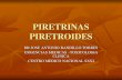 PIRETRINAS PIRETROIDES · 2020. 7. 9. · PIRETRINAS Son insecticidas de origen natural obtenidos del Crisantemo. Son bastantes inestables a la exposición de la luz y el calor .