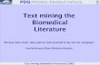 Text mining the Biomedical Literature - UNAM