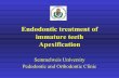 Endodontic treatment of immature teeth Apexification