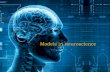 Models in neuroscience