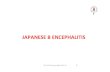 JAPANESE B ENCEPHALITIS - VIMS