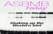 Shaking up the Western blot