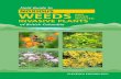 Field Guide to NOXIOUS weeds - BC Invasives