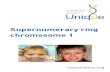 Supernumerary ring chromosome 1 FTNW