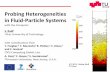 Probing Heterogeneities in Fluid-Particle Systems
