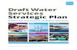 Draft Water Services Strategic Plan