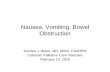 Nausea, Vomiting, Bowel Obstruction