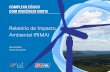 Relatório de Impacto Ambiental (RIMA)