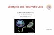 Eukaryotic and Prokaryotic Cells - Lecture Notes - TIU