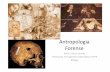 Antropologia Forense - UTFPR