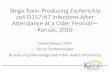 Shiga Toxin-Producing Escherichia coli O157:H7 Infections ...