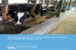 Characteristics of small-scale dairy farms in Lembang ...