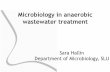 Microbiology in anaerobic wastewater treatment
