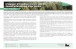 Paper Production and Sustainable Forests