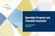 Specialty Property and Casualty Insurance