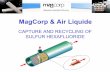 MagCorp & Air Liquide