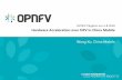 Hardware Acceleration over NFV in China Mobile