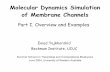 Molecular Dynamics Simulation of Membrane Channels