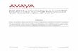 H.323 IP Trunk Configuration Between an Avaya™ S8700 Media ...