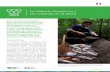 La Hidrovía Amazónica y sus impactos en la pesca