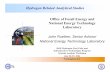 Analysis Activities at Fossil Energy/ National Energy ...