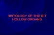 HISTOLOGY OF THE GIT HOLLOW ORGANS