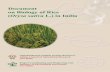 Document on Biology of Rice L.) in India