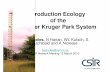 Production Ecology of the Greater Kruger Park System