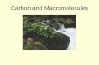 Carbon and Macromolecules - Phoenix College