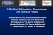 AEP 69-kV Oil-Insulated Transmission Line Removal Project