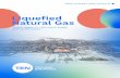 Liquefied Natural Gas - LNG Congress Russia