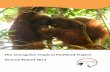 The Orangutan Tropical Peatland Project Annual Report 2012