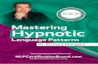 NLP Hypnotic Language Patterns - nlpcertificationboard.com