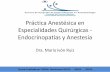 Práctica Anestésica en Especialidades Quirúrgicas ...