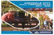 SOME FACTS ABOUT THE MALL - Armidale Regional Council