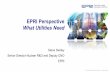 EPRI Perspective What Utilities Need